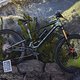 Sea Otter - Specialized-50