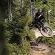 Es braucht kaum Zeit, um sich an das Giant Trance X zu gewöhnen
