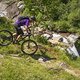 IMG 4767