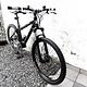 Haibike Customized Hardtail