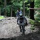 IMG 5206