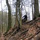 IMG 3662