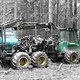 forwarder colorkey small