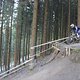 IMG 0003