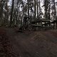 IMG 2041