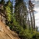 Freerider sollen vor allem im Bike Park auf allen möglichen Strecken glänzen