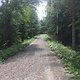 IMG 3718