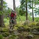 20230702-38L Schneebergrunde