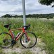 IMG 1818