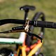 MTBNews