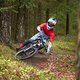 Fischi25 LSR54954