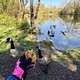 Gans tolles Frühstück
