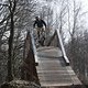 IMG 7155