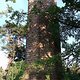 DSCF3822b