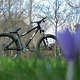 Spring Ns-Bikes