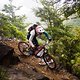 Oh my Gorge. Jamie organisiert uns einen privaten Shuttlle im legendären Waiora Gorge Bikepark. Hier hat er vor einingen Jahren auch als Trailbauer mitgewirkt.