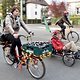 Critical Mass 1704 1175b