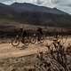 Riders during stage 2 of the 2019 Absa Cape Epic Mountain Bike stage race from Hermanus High School in Hermanus to Oak Valley Estate in Elgin, South Africa on the 19th March 2019

Photo by Dwayne Senior/Cape Epic

PLEASE ENSURE THE APPROPRIATE CR