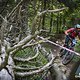 Im unteren Teil gab es dann wieder Naturtrail-Gaudi vom Feinsten.