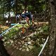 VDS19 MTBNews XCFinal-6349