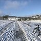 Winterpokal-Aktivität