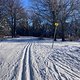 IMG 6926