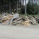 IMG 5857