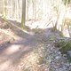 Trail Falkensteig3