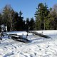 DSC00536