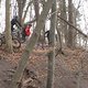 IMG 3649
