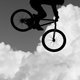 Mountain Bike FineArt 009web