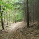 20110515 bza 851.jpg 800x600