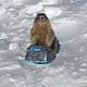 Skifahren 2015