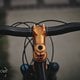 SingleBe - NoisyBee - Custom 29er