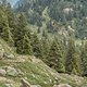 DSC04197