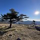 IMG 6840