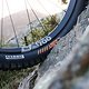 CAST PIRELLI - Credit Laragh O&#039;Neill (1)