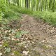 Gratis Trailcenter WB