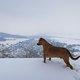 IMG 2621