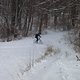 IMG 2651