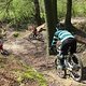 IMG 0586