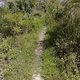 Trail in den Everglades