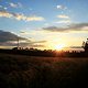 IMG 5991