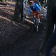 IMG 1850
