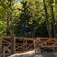 IMG 7805