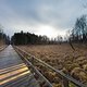 Steg zwischen Bad Buchau und Moosburg
