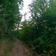 Rodenstein Trail