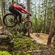 Laurie Greenland participates at Red Bull Hardline in Maydena Bike Park, Australia on February 20th, 2024. // Dan Griffiths / Red Bull Content Pool // SI202402210615 // Usage for editorial use only //