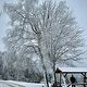 Winterpokal-Aktivität