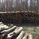 Holz geschnitten und gerückt 🪵 🪚🪓